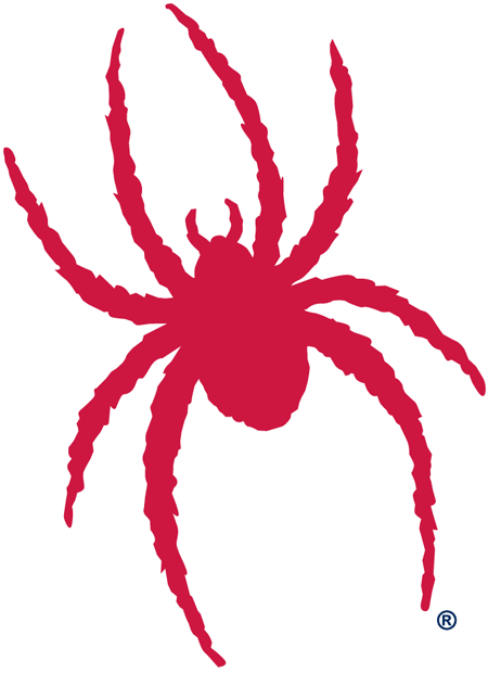 Richmond Spiders 2002-Pres Alternate Logo DIY iron on transfer (heat transfer)